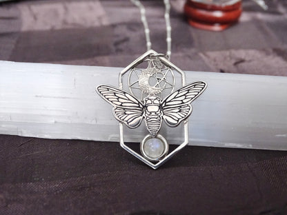Pentagram Moonstone Cicada Necklace - Sterling Silver - The Silver Wing
